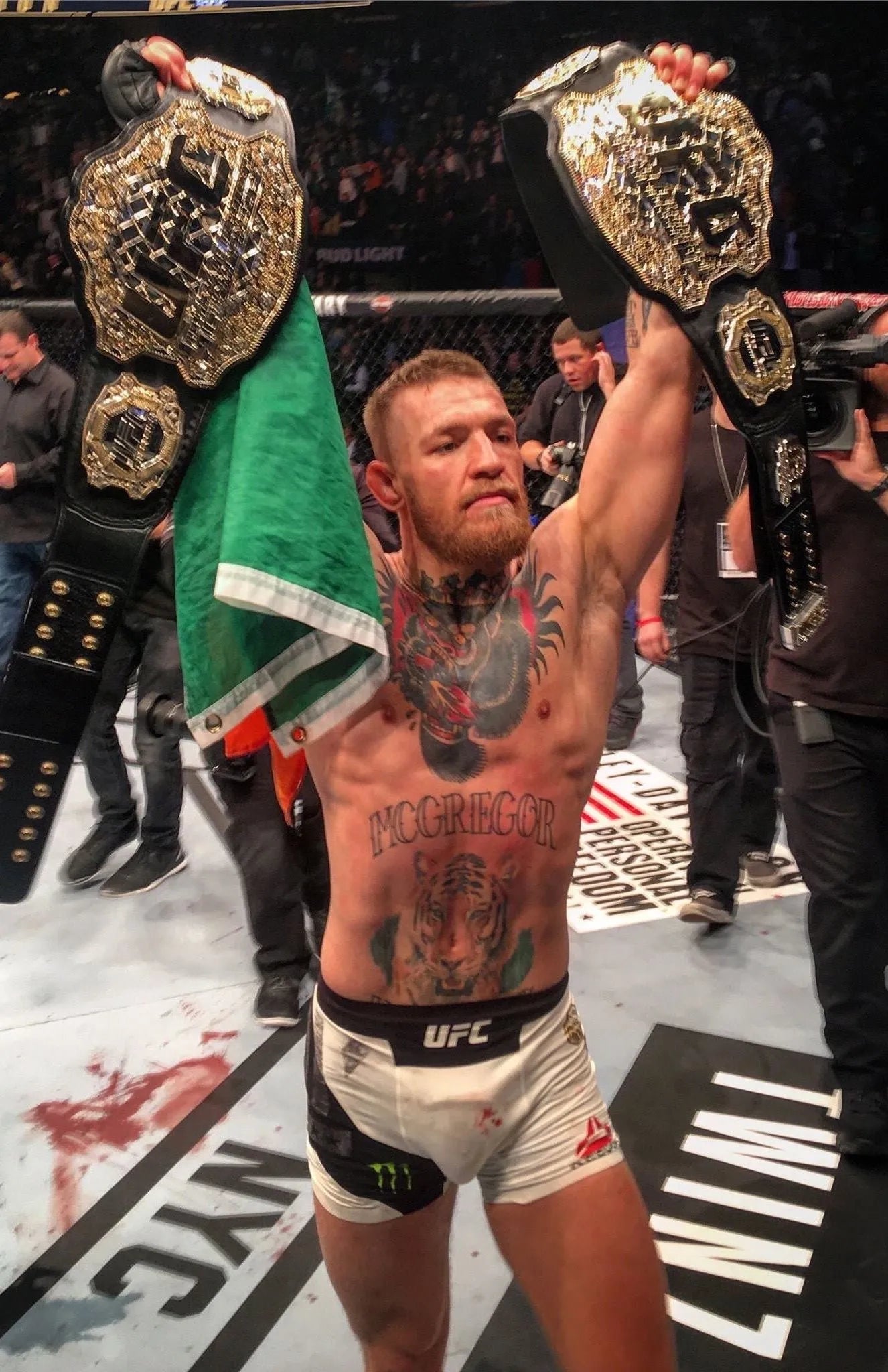 Connor McGregor Double Champ 2  Fighting Poster