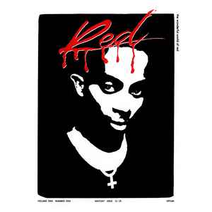 Playboi Carti "Whole Lotta Red" Album Poster