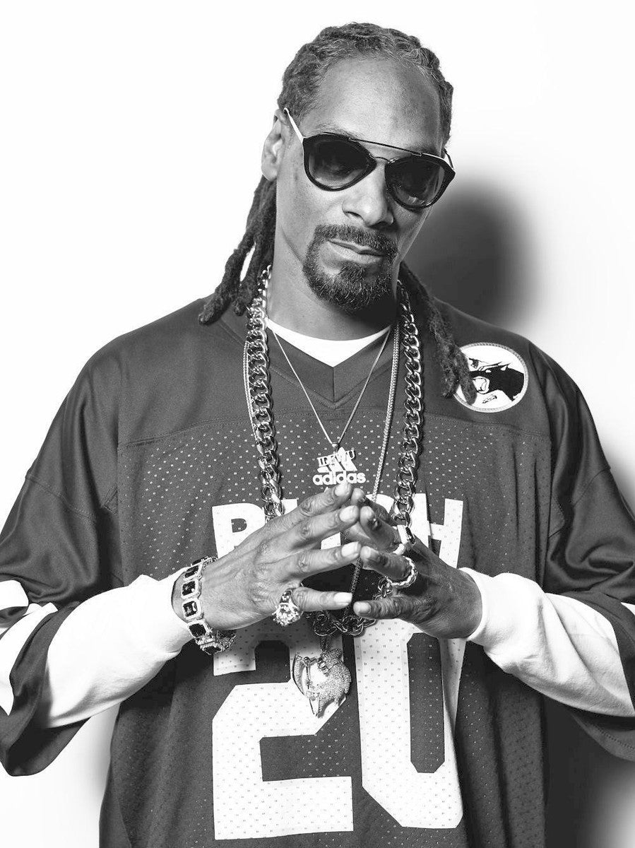 Snoop Dogg Tribute Poster